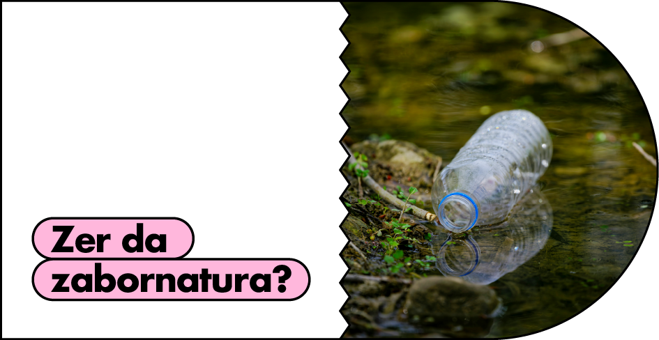 Zer da zabornatura?