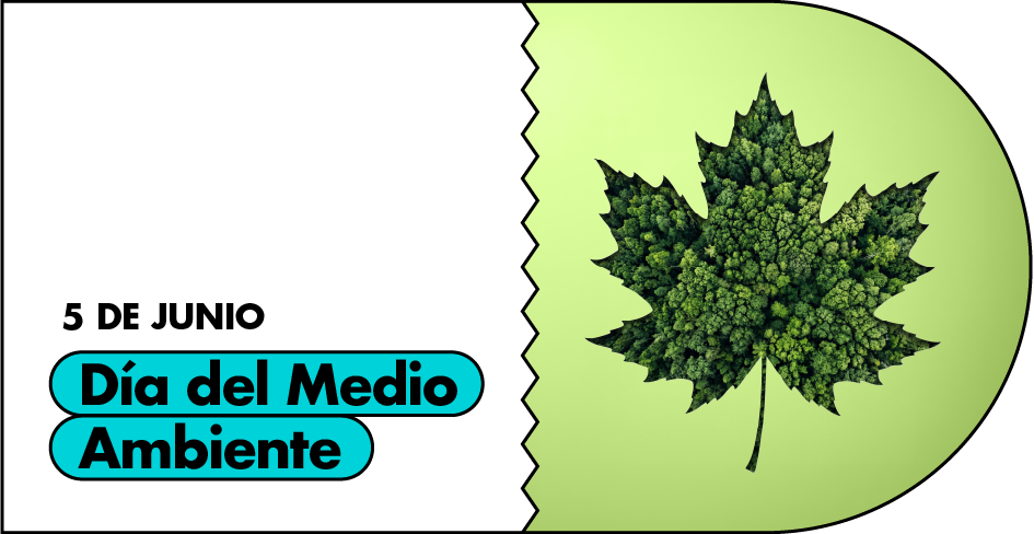Día del Medio Ambiente
