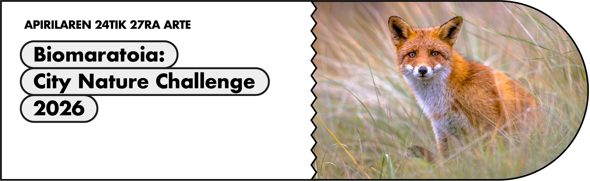 Biomaratoia 2026: herritar zientzia hiriko biodibertsitatea ezagutzeko
